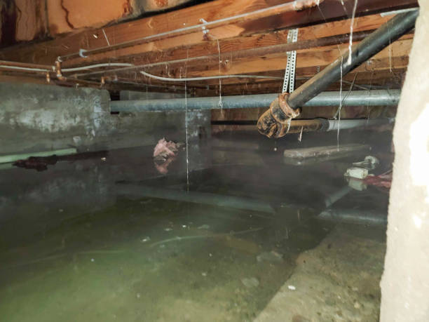 Best Water damage contractors near me  in Valley, NE