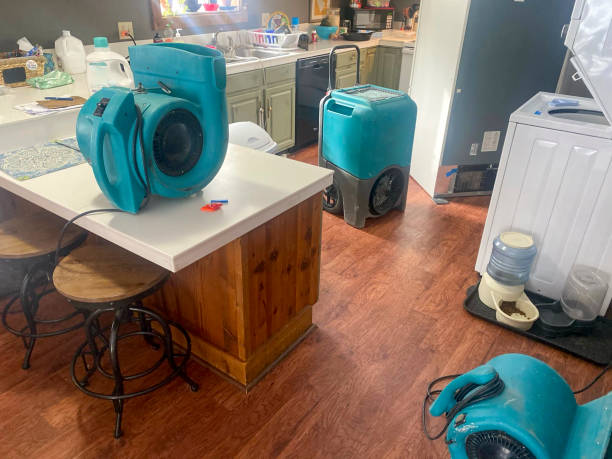 Best Emergency water damage restoration  in Valley, NE