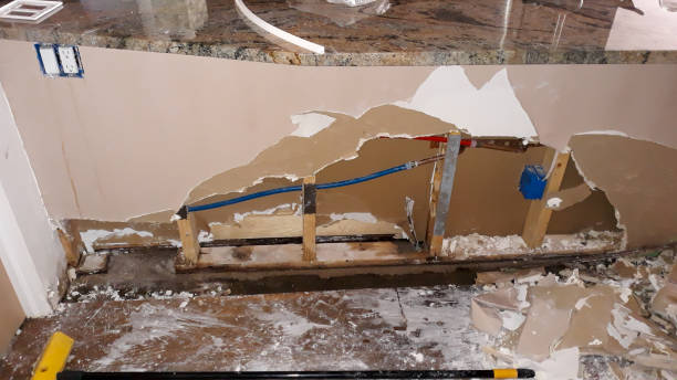 Best Water damage restoration near me  in Valley, NE