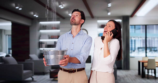 Best Residential water damage restoration  in Valley, NE